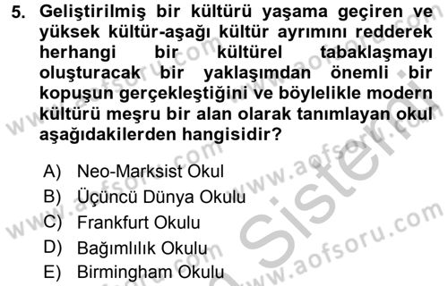 Sosyolojiye Giriş Dersi 2016 - 2017 Yılı 3 Ders Sınav Soruları 5. Soru