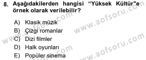 Sosyolojiye Giriş Dersi 2016 - 2017 Yılı 3 Ders Sınav Soruları 8. Soru