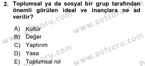 Sosyolojiye Giriş Dersi 2016 - 2017 Yılı (Vize) Ara Sınav Soruları 2. Soru