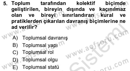 Sosyolojiye Giriş Dersi 2016 - 2017 Yılı (Vize) Ara Sınav Soruları 5. Soru