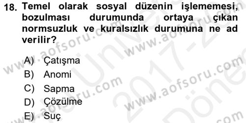 Sosyolojiye Giriş Dersi 2017 - 2018 Yılı (Final) Dönem Sonu Sınavı 18. Soru