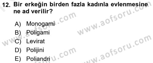 Sosyolojiye Giriş Dersi 2018 - 2019 Yılı (Final) Dönem Sonu Sınav Soruları 12. Soru