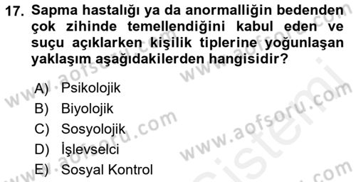 Sosyolojiye Giriş Dersi 2018 - 2019 Yılı (Final) Dönem Sonu Sınav Soruları 17. Soru