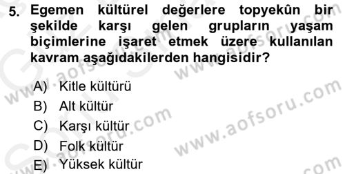 Sosyolojiye Giriş Dersi 2018 - 2019 Yılı (Final) Dönem Sonu Sınav Soruları 5. Soru