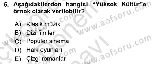 Sosyolojiye Giriş Dersi 2019 - 2020 Yılı (Final) Dönem Sonu Sınav Soruları 5. Soru
