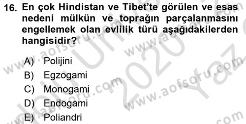 Sosyolojiye Giriş Dersi 2020 - 2021 Yılı Yaz Okulu Sınavı 16. Soru