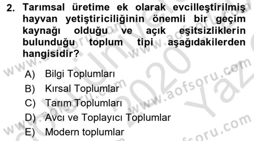 Sosyolojiye Giriş Dersi 2020 - 2021 Yılı Yaz Okulu Sınavı 2. Soru