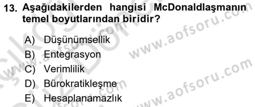 Sosyolojiye Giriş Dersi 2021 - 2022 Yılı (Vize) Ara Sınavı 13. Soru