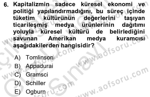 Sosyolojiye Giriş Dersi 2021 - 2022 Yılı (Final) Dönem Sonu Sınavı 6. Soru