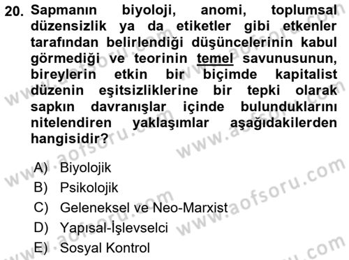 Sosyolojiye Giriş Dersi 2021 - 2022 Yılı Yaz Okulu Sınav Soruları 20. Soru