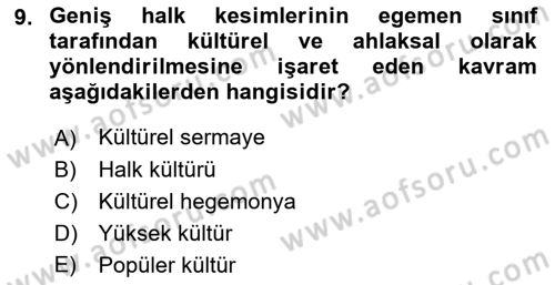 Sosyolojiye Giriş Dersi 2021 - 2022 Yılı Yaz Okulu Sınav Soruları 9. Soru