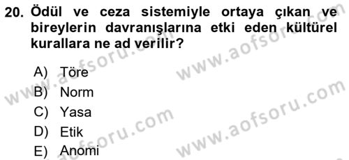 Sosyolojiye Giriş Dersi 2022 - 2023 Yılı (Final) Dönem Sonu Sınavı 20. Soru