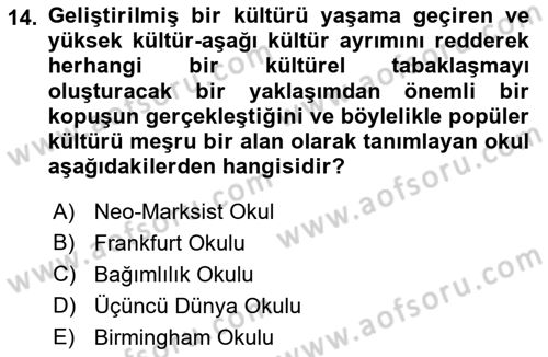 Sosyolojiye Giriş Dersi 2022 - 2023 Yılı Yaz Okulu Sınav Soruları 14. Soru
