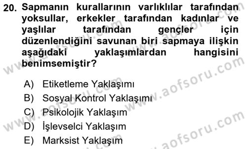 Sosyolojiye Giriş Dersi 2022 - 2023 Yılı Yaz Okulu Sınav Soruları 20. Soru