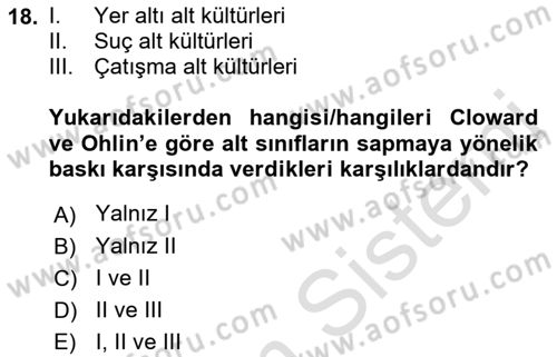 Sosyolojiye Giriş Dersi 2023 - 2024 Yılı (Final) Dönem Sonu Sınav Soruları 18. Soru