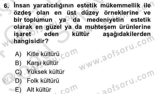 Sosyolojiye Giriş Dersi 2023 - 2024 Yılı (Final) Dönem Sonu Sınav Soruları 6. Soru