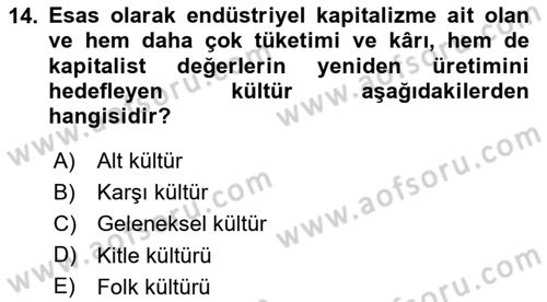 Sosyolojiye Giriş Dersi 2023 - 2024 Yılı Yaz Okulu Sınav Soruları 14. Soru