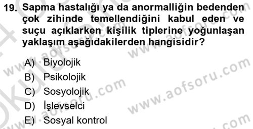 Sosyolojiye Giriş Dersi 2023 - 2024 Yılı Yaz Okulu Sınav Soruları 19. Soru