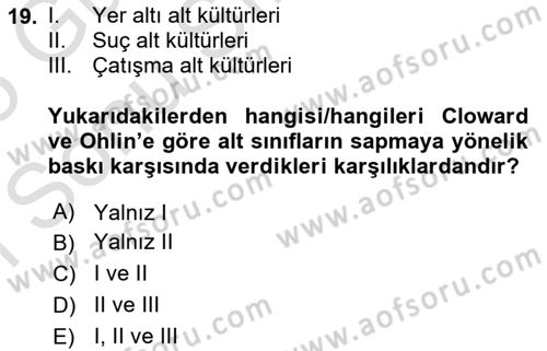 Sosyolojiye Giriş Dersi 2024 - 2025 Yılı (Final) Dönem Sonu Sınav Soruları 19. Soru
