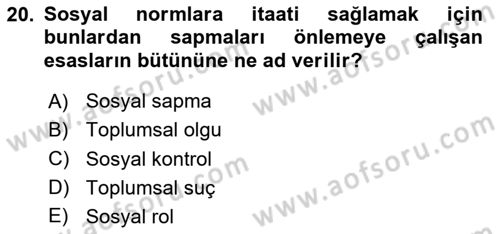 Sosyolojiye Giriş Dersi 2024 - 2025 Yılı (Final) Dönem Sonu Sınav Soruları 20. Soru