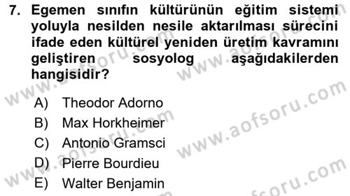 Sosyolojiye Giriş Dersi 2024 - 2025 Yılı (Final) Dönem Sonu Sınav Soruları 7. Soru