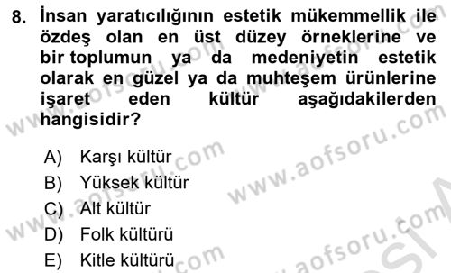 Sosyolojiye Giriş Dersi 2024 - 2025 Yılı (Final) Dönem Sonu Sınav Soruları 8. Soru
