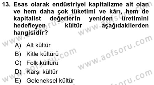 Sosyolojiye Giriş Dersi 2024 - 2025 Yılı Yaz Okulu Sınav Soruları 13. Soru