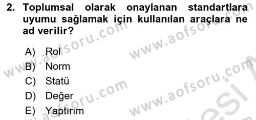 Sosyolojiye Giriş Dersi 2024 - 2025 Yılı Yaz Okulu Sınav Soruları 2. Soru