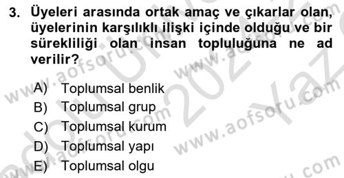 Sosyolojiye Giriş Dersi 2024 - 2025 Yılı Yaz Okulu Sınav Soruları 3. Soru