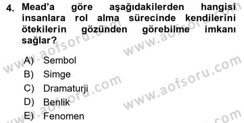 Sosyolojiye Giriş Dersi 2024 - 2025 Yılı Yaz Okulu Sınav Soruları 4. Soru
