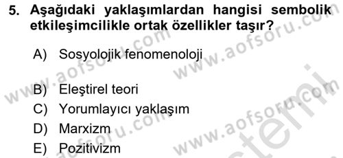 Sosyolojiye Giriş Dersi 2024 - 2025 Yılı Yaz Okulu Sınav Soruları 5. Soru
