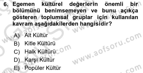 Sosyolojiye Giriş Dersi 2025 - 2026 Yılı (Final) Dönem Sonu Sınav Soruları 6. Soru