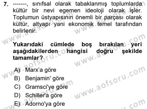 Sosyolojiye Giriş Dersi 2025 - 2026 Yılı (Final) Dönem Sonu Sınav Soruları 7. Soru