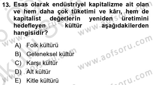 Sosyolojiye Giriş Dersi 2025 - 2026 Yılı Yaz Okulu Sınav Soruları 13. Soru