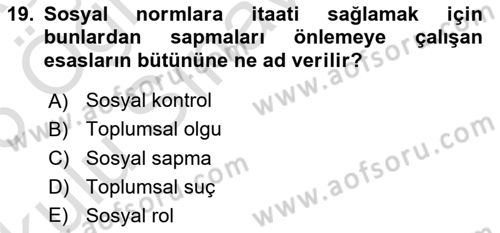 Sosyolojiye Giriş Dersi 2025 - 2026 Yılı Yaz Okulu Sınav Soruları 19. Soru