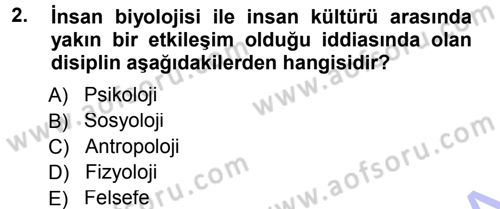 Sosyal Bilimlerde Temel Kavramlar Dersi 2012 - 2013 Yılı (Final) Dönem Sonu Sınav Soruları 2. Soru