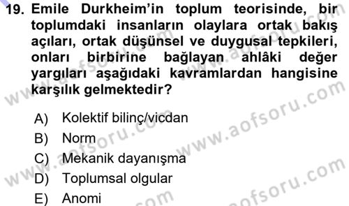 Sosyal Bilimlerde Temel Kavramlar Dersi 2015 - 2016 Yılı (Final) Dönem Sonu Sınav Soruları 19. Soru