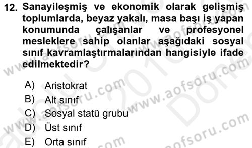Sosyal Bilimlerde Temel Kavramlar Dersi 2016 - 2017 Yılı (Final) Dönem Sonu Sınav Soruları 12. Soru