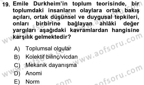 Sosyal Bilimlerde Temel Kavramlar Dersi 2016 - 2017 Yılı (Final) Dönem Sonu Sınav Soruları 19. Soru
