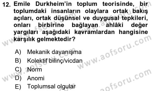 Sosyal Bilimlerde Temel Kavramlar Dersi 2017 - 2018 Yılı 3 Ders Sınav Soruları 12. Soru