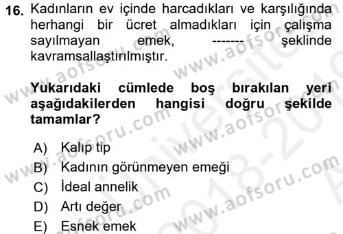 Sosyal Bilimlerde Temel Kavramlar Dersi 2018 - 2019 Yılı (Vize) Ara Sınav Soruları 16. Soru