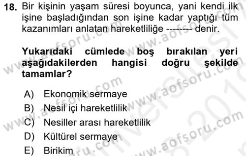 Sosyal Bilimlerde Temel Kavramlar Dersi 2018 - 2019 Yılı (Final) Dönem Sonu Sınav Soruları 18. Soru