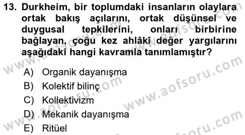 Sosyal Bilimlerde Temel Kavramlar Dersi 2021 - 2022 Yılı (Final) Dönem Sonu Sınav Soruları 13. Soru