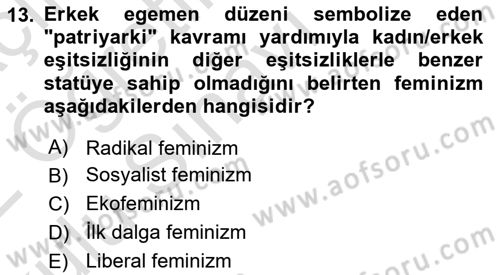 Sosyal Bilimlerde Temel Kavramlar Dersi 2021 - 2022 Yılı Yaz Okulu Sınav Soruları 13. Soru