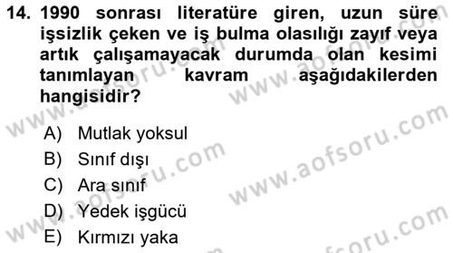Sosyal Bilimlerde Temel Kavramlar Dersi 2022 - 2023 Yılı (Final) Dönem Sonu Sınav Soruları 14. Soru