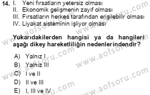 Sosyal Bilimlerde Temel Kavramlar Dersi 2023 - 2024 Yılı Yaz Okulu Sınav Soruları 14. Soru