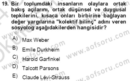 Sosyal Bilimlerde Temel Kavramlar Dersi 2023 - 2024 Yılı Yaz Okulu Sınav Soruları 19. Soru