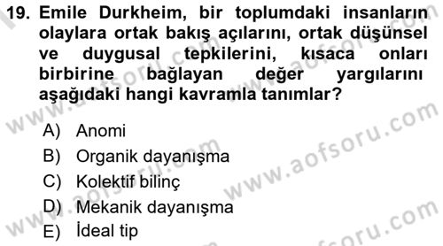 Sosyal Bilimlerde Temel Kavramlar Dersi 2024 - 2025 Yılı (Final) Dönem Sonu Sınav Soruları 19. Soru