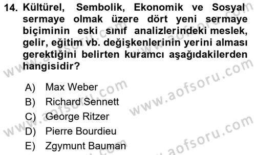 Sosyal Bilimlerde Temel Kavramlar Dersi 2024 - 2025 Yılı Yaz Okulu Sınav Soruları 14. Soru