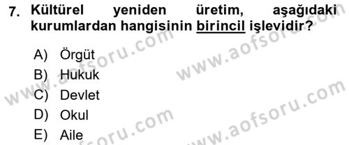 Sosyal Bilimlerde Temel Kavramlar Dersi 2024 - 2025 Yılı Yaz Okulu Sınav Soruları 7. Soru